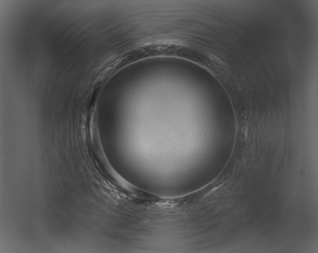 X0000054401014200508011317
