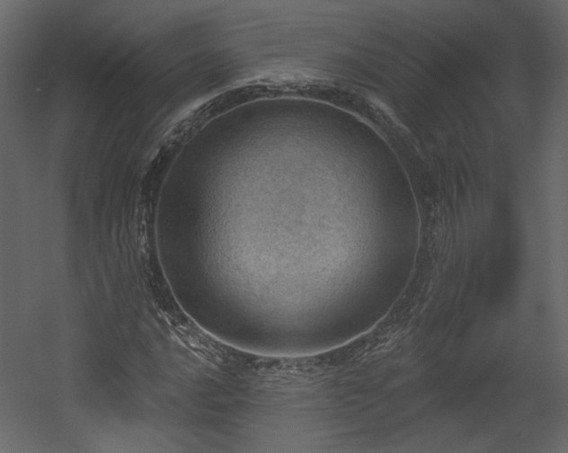X0000054401016200508011317