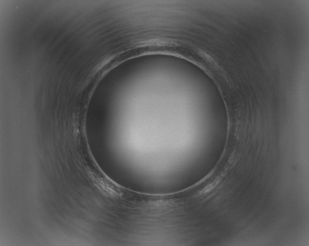 X0000054401017200508011317
