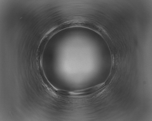 X0000054401018200508011317