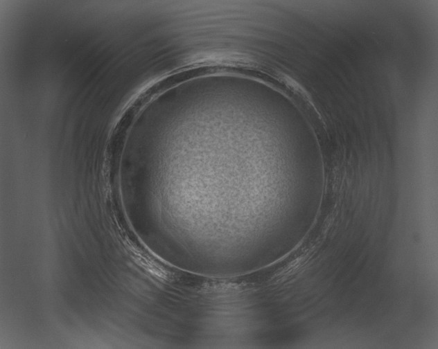 X0000054401019200508011317