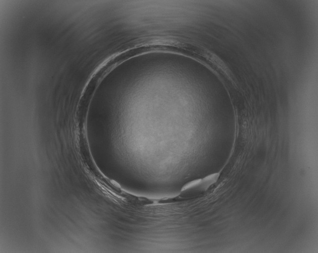 X0000054401024200508011317