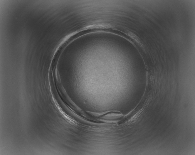 X0000054401030200508011317