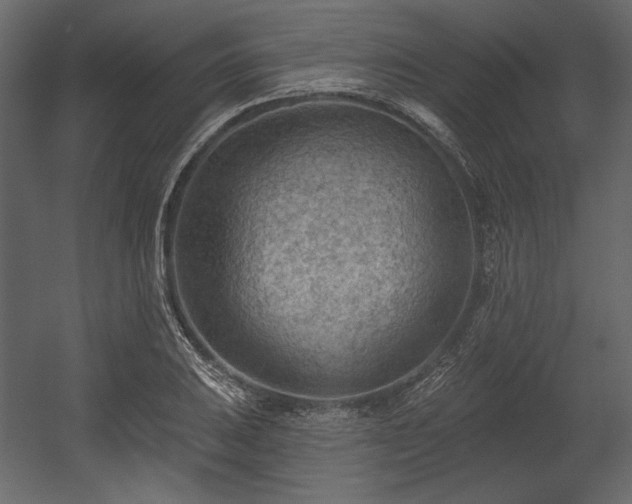 X0000054401031200508011317