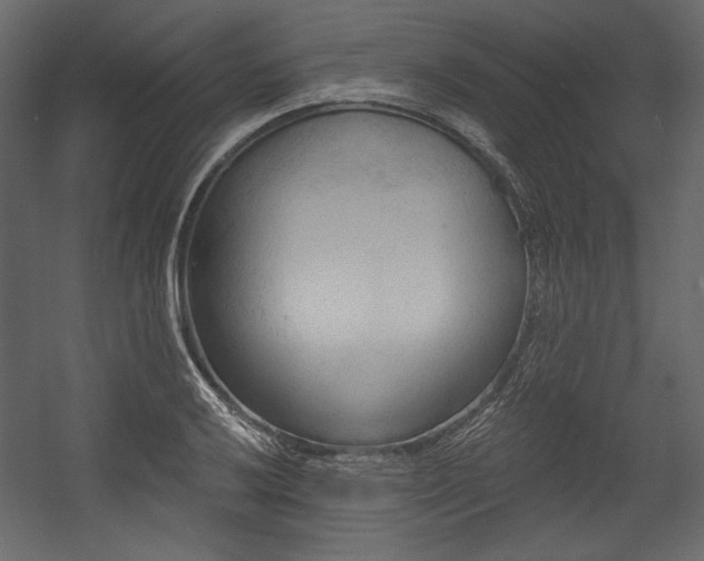 X0000054401032200508011317