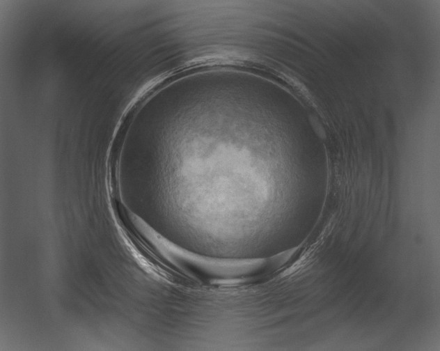 X0000054401034200508011317