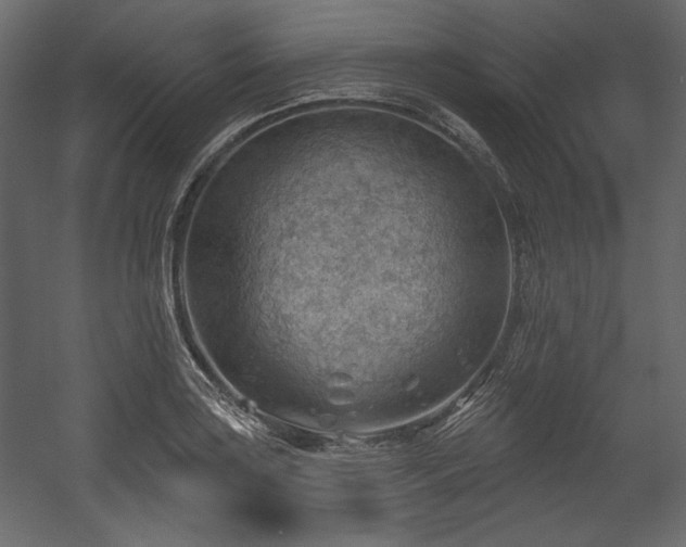 X0000054401035200508011317