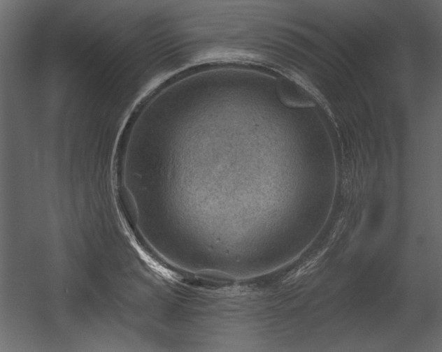 X0000054401037200508011317