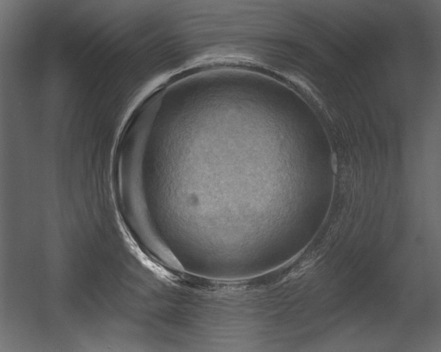 X0000054401038200508011317