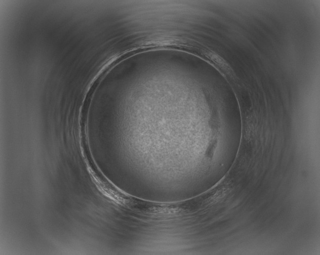X0000054401039200508011317