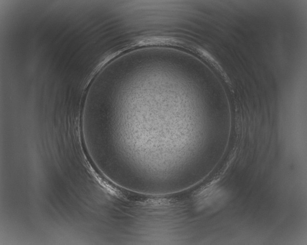 X0000054401041200508011317