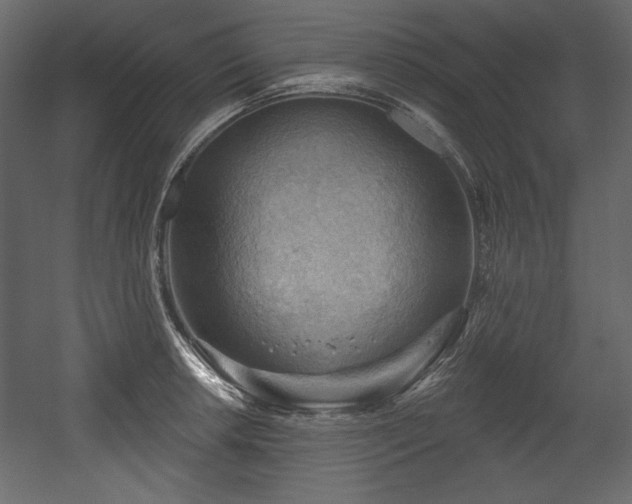 X0000054401042200508011317