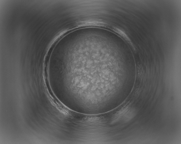 X0000054401043200508011317
