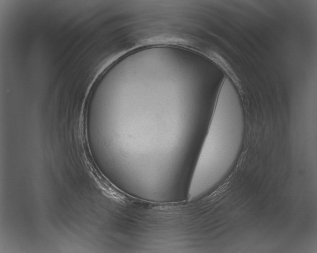 X0000054401044200508011317