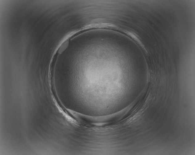 X0000054401046200508011317