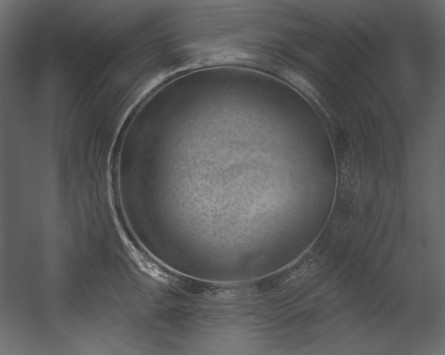 X0000054401047200508011317