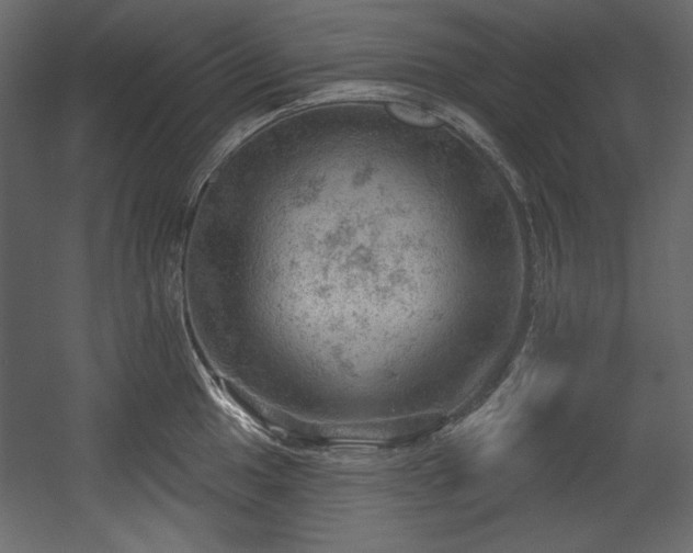 X0000054401049200508011317