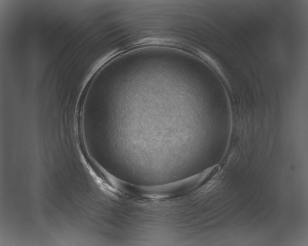 X0000054401050200508011317