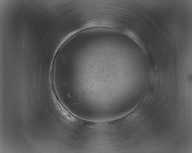 X0000054401052200508011317