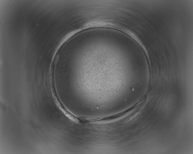 X0000054401053200508011317