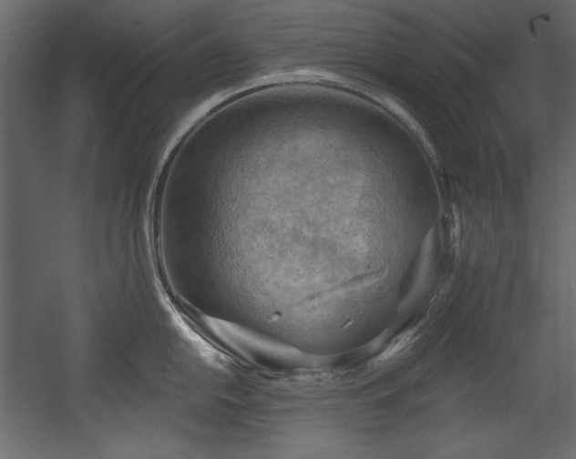 X0000054401054200508011317