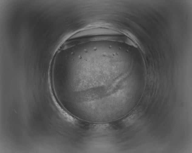X0000054401055200508011317