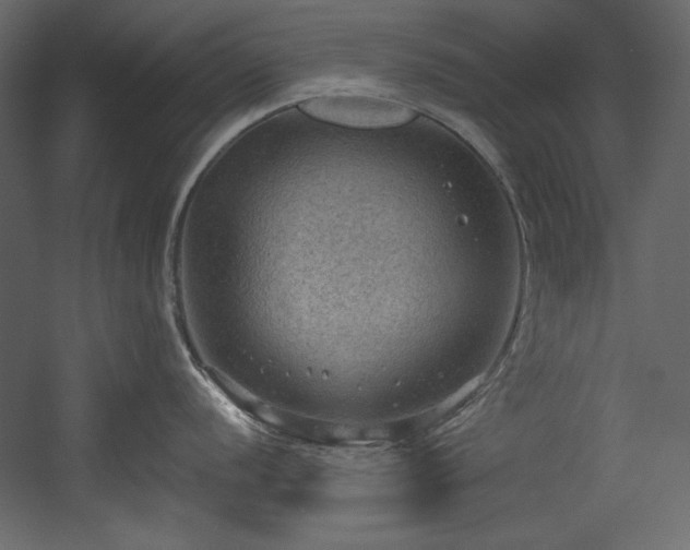 X0000054401056200508011317