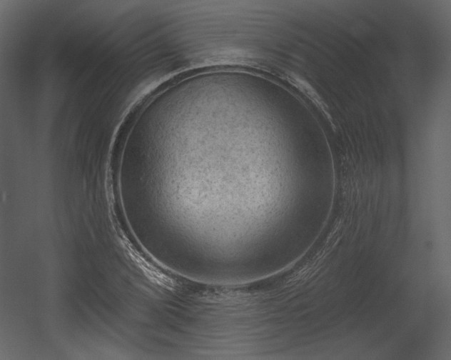 X0000054401072200508011316