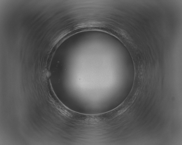 X0000054401073200508011316