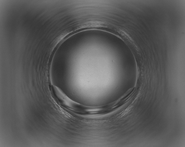 X0000054401081200508011316