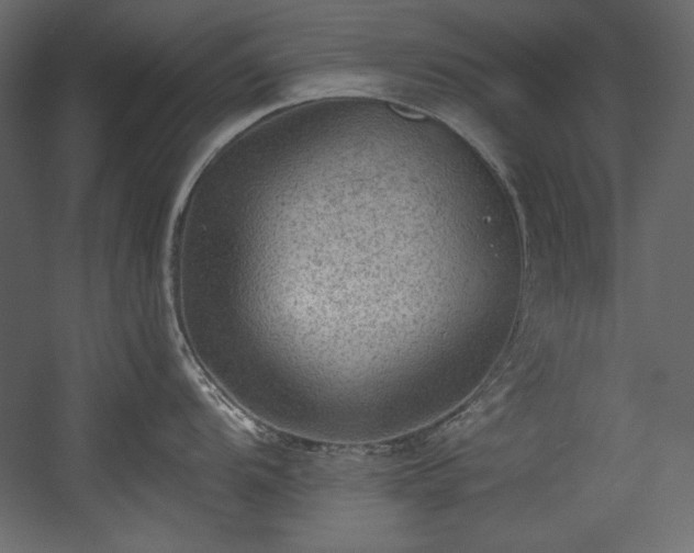 X0000054401104200508011316