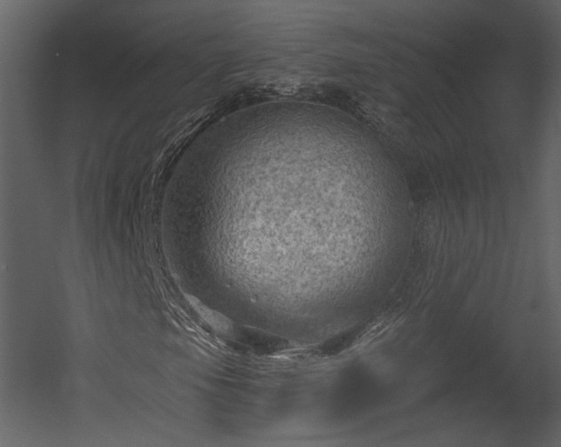 X0000054401105200508011315