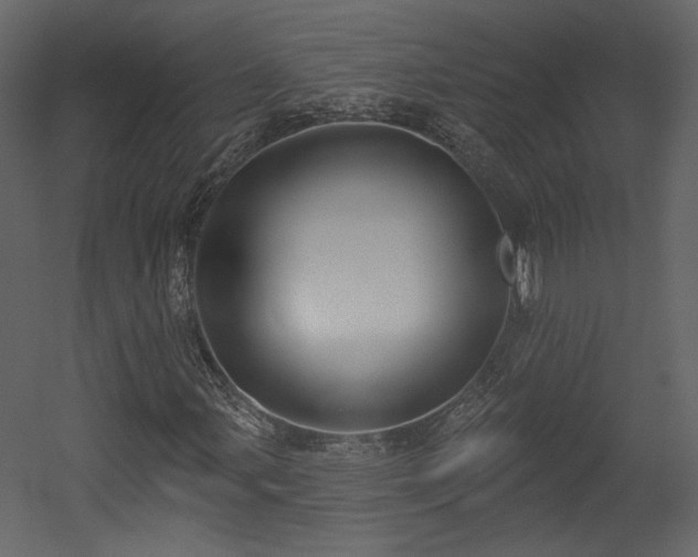 X0000054401107200508011315
