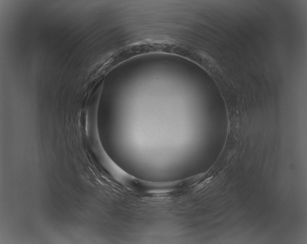 X0000054401110200508011315