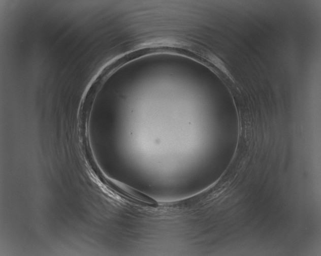 X0000054401116200508011315