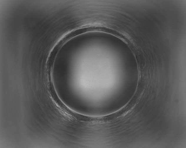 X0000054401118200508011315