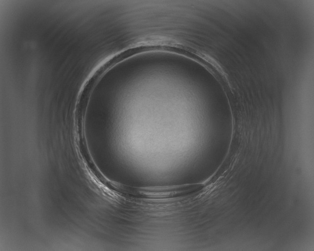 X0000054401120200508011315