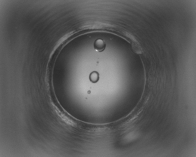 X0000054401122200508011315