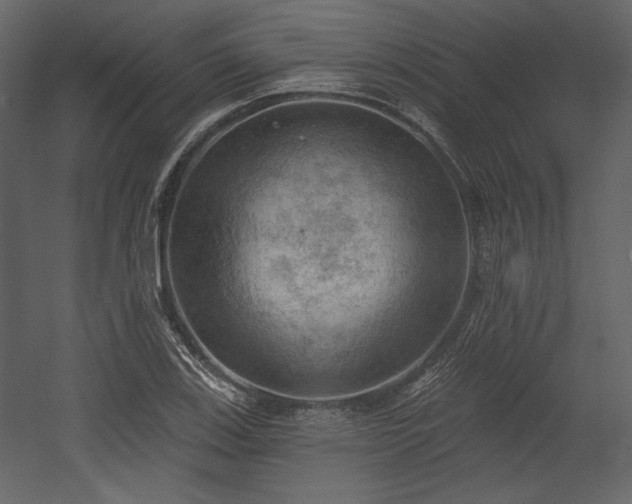 X0000054401123200508011315