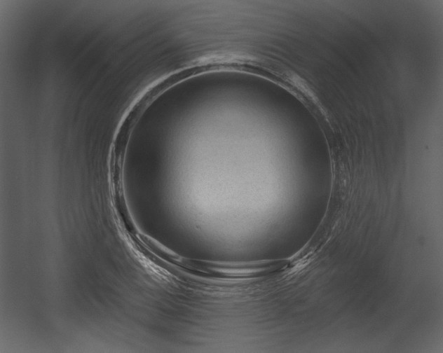X0000054401124200508011315
