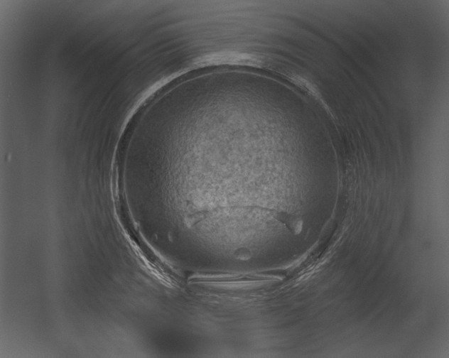 X0000054401125200508011315
