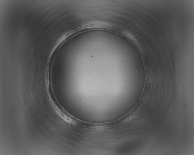 X0000054401130200508011315