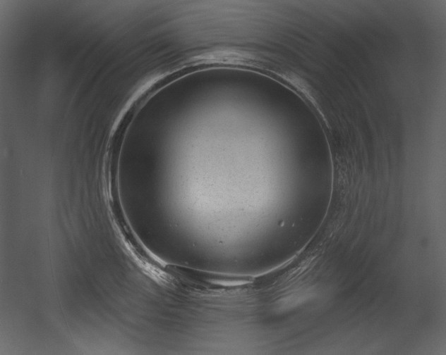 X0000054401131200508011315