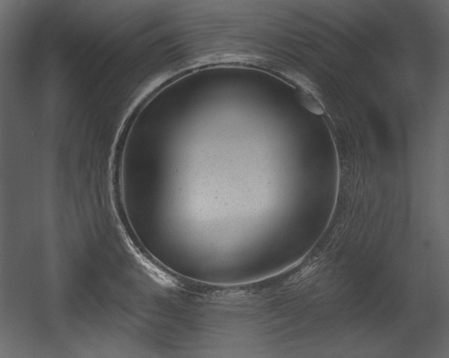 X0000054401135200508011315