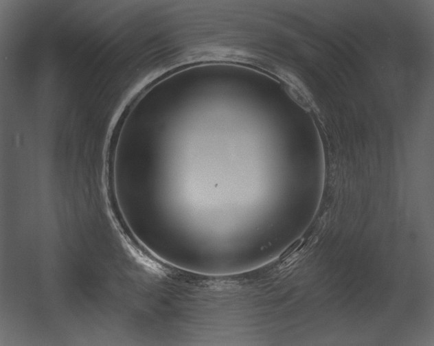 X0000054401136200508011315