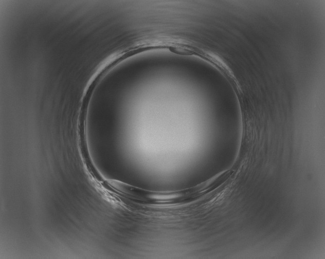 X0000054401138200508011315