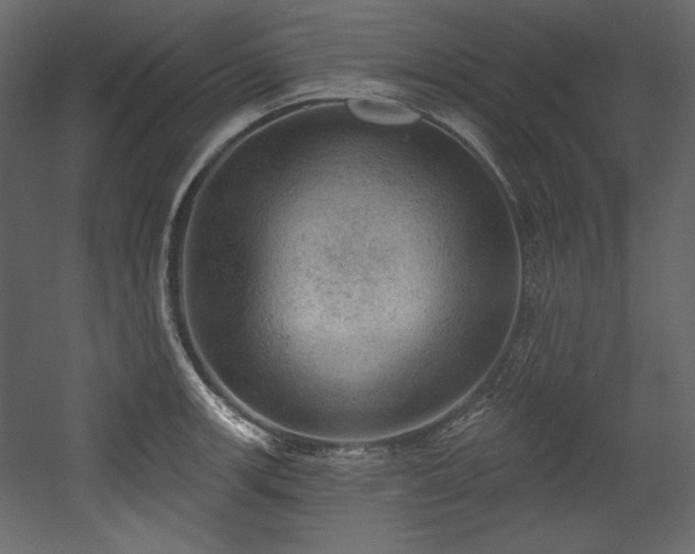 X0000054401139200508011315
