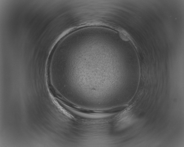 X0000054401142200508011315