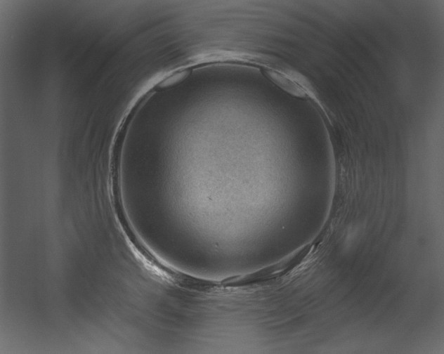 X0000054401143200508011316