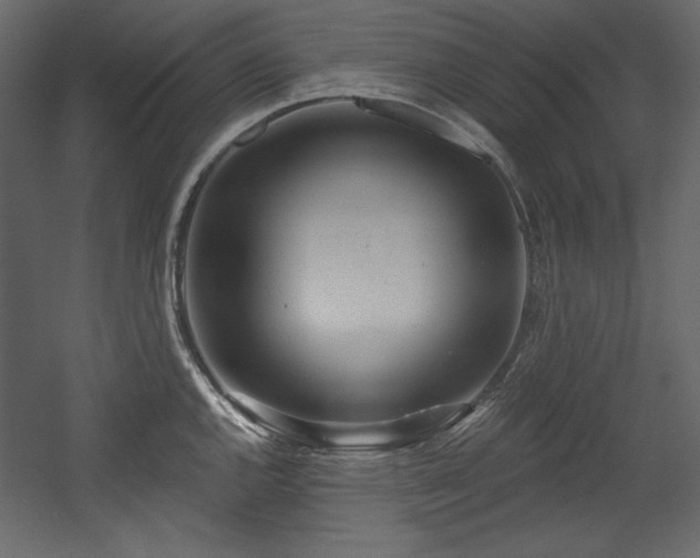 X0000054401144200508011316
